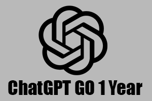 ChatGPT 1 Year Go Licence (Random Account)